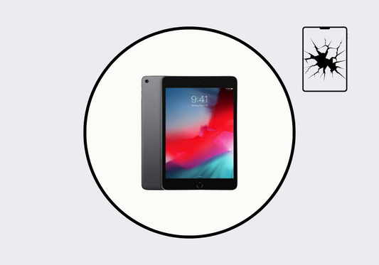 iPad Mini 5 Display Repair (Genuine LCD)